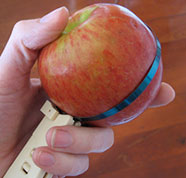 Cranston Fruit Guage